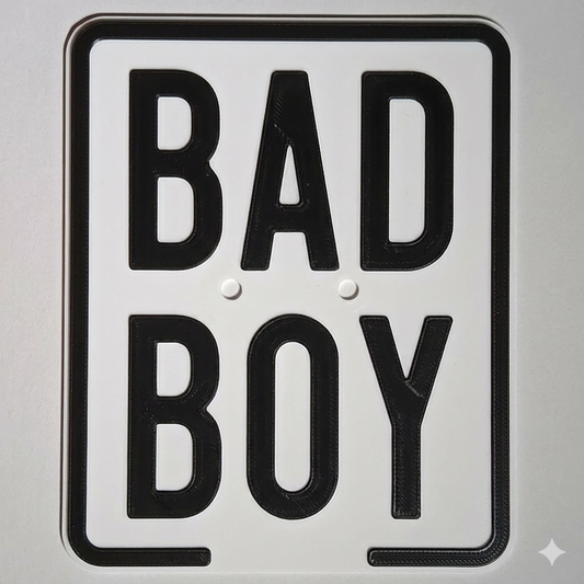 Versicherungskennzeichen BAD BOY 
